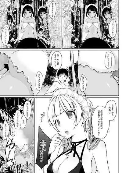 Houshi Shuzoku ga Yattekita!