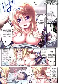(C80) [Himura Nyuugyou (Himura Kiseki)] Yuuzai Shouko Bukken Sangou | The Evidence of the Guilt - Mark Three (IS <Infinite Stratos>) [English] {doujin-moe.us}