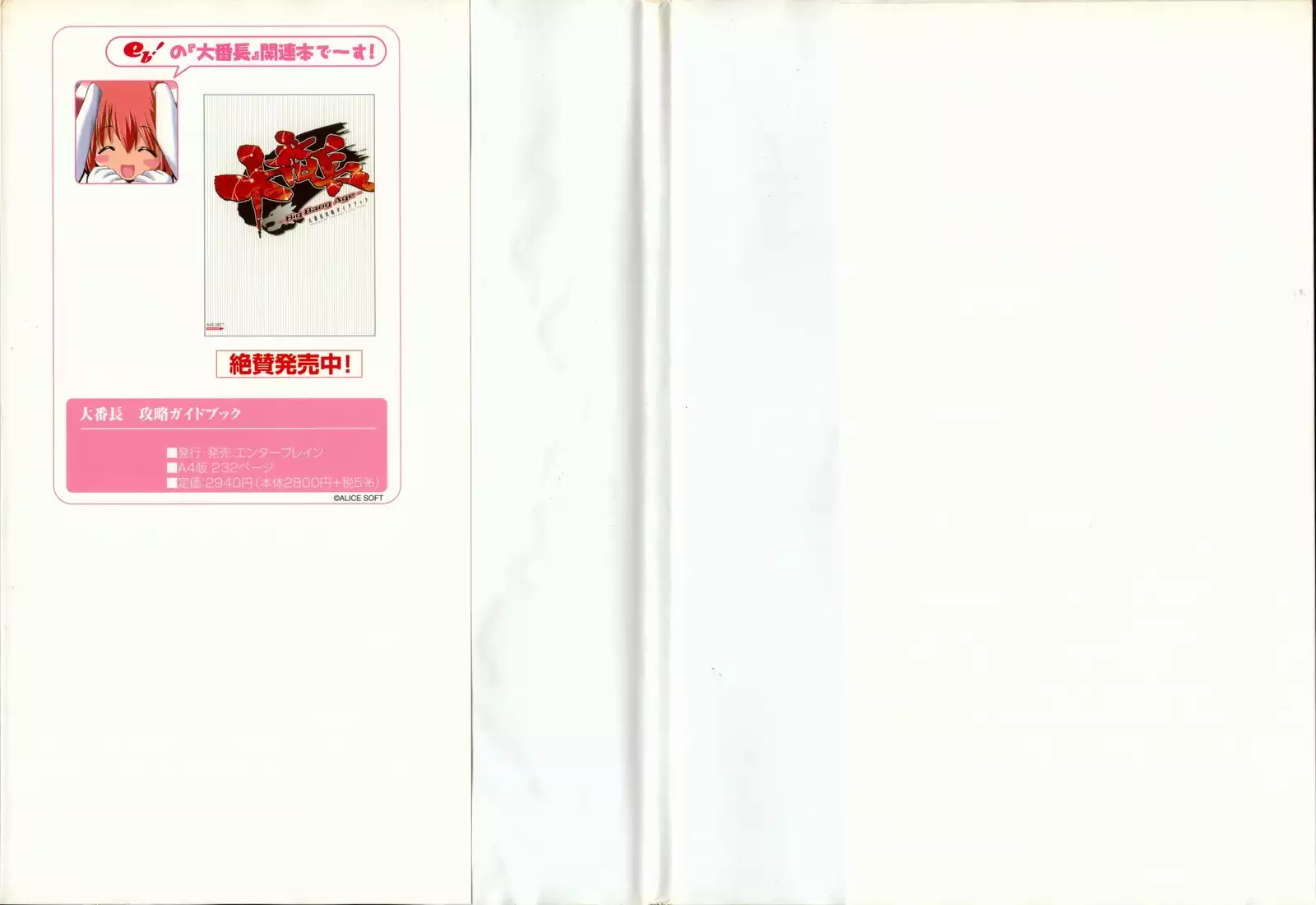 大番長 visual fan book