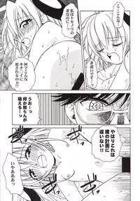 (CR31) [Studio Wallaby (Various)] Rizell no Naisho (Rizelmine)