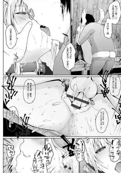 Houshi Shuzoku ga Yattekita!