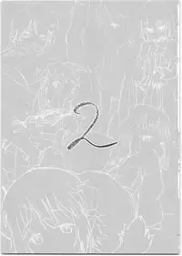 (C95) [Bitimaru (bitibiti)] SummoNigh Ecchi Rakugaki Matomebon (Summon Night)