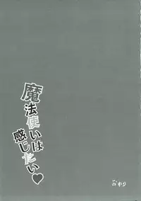 (C92) [Apsis (Sisochair)] Mahoutsukai wa Kanjitai (Touhou Project)