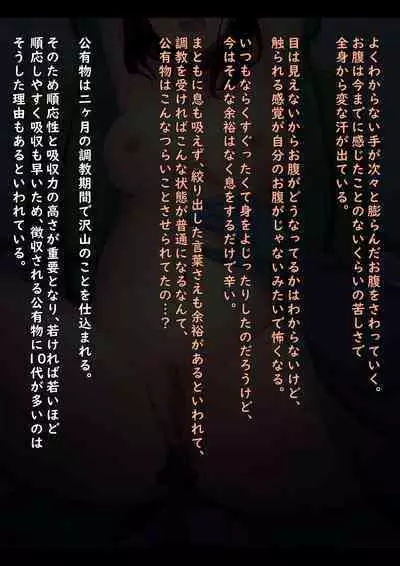 Public Property Sex Slave Girl Vol.02