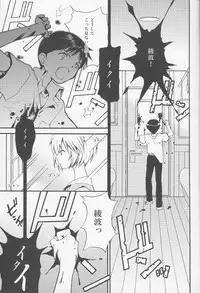 (C77) [RAYTREC (Fuyunagi Reku)] +PLUS (Neon Genesis Evangelion)