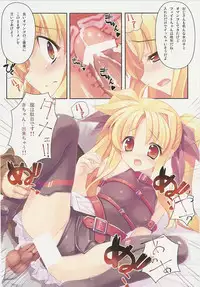 (C73) [STUDIO HIMAWARI (Himukai Kyousuke)] Kanzen Choukyou Fate Shiki (Mahou Shoujo Lyrical Nanoha)