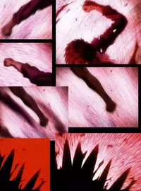 [TYPE-MOON (Takeuchi Takashi)] Fate/stay nigh FAKE Avalon(fate/stay night)t(chinese)