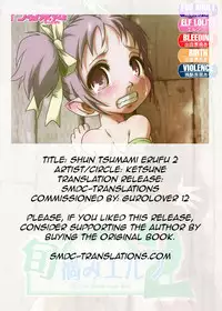 [Ketsune Cyadokoro (Ketsune)] Shunzumi Elf Dai-2-shou [English] [SMDC] [No Blood]