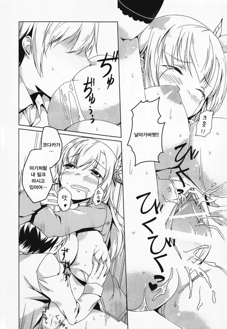 SENAMILK | 세나밀크