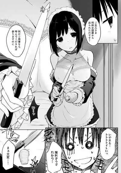 Houshi Shuzoku ga Yattekita!