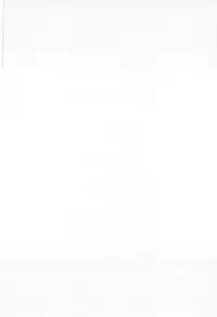 [Miyazaki Maya] Silent Hunter