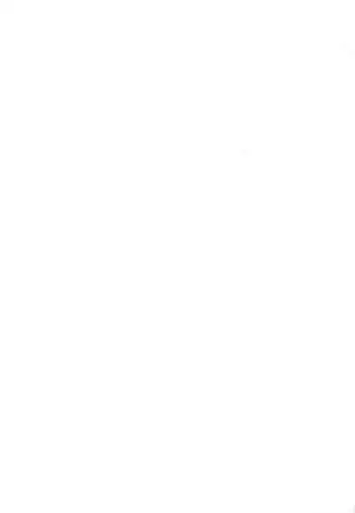 (C103) [Ebimashi (Ebina Ebi)] Shinjin Trainer Sponsor Boshuuchuu (Pokémon Scarlet and Violet)