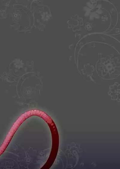 [KAMINENDO.CORP (Akazawa RED)] Bouken no Sho Series Soushuuhen - The Adventurer's Log Has Been Fully Recovered Vol. 1 [English][Digital]