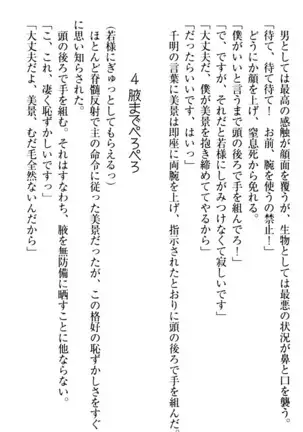 年上メイドの新婚日記