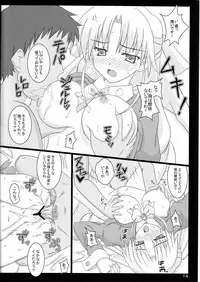 (C78) [Namekataya (Mitani)] Serunia Ojousama to! NTR ver (Ladies versus Butlers)