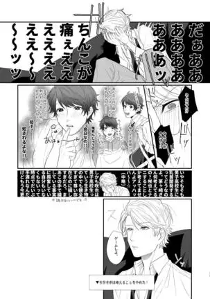 Cherry Blossom MANKAI Keikaku!