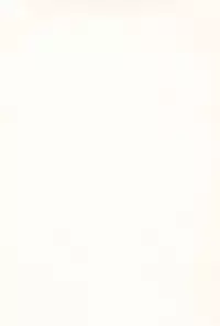 (C93) [EX35 (Kamaboko RED)] Denki no Chikaratte Sugee! (Bakusou Kyoudai Let's & Go!!)