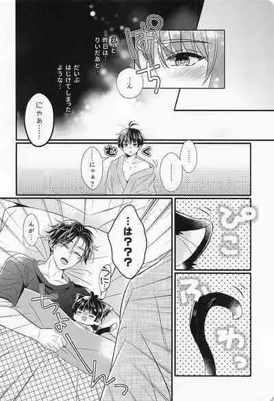 Kote mo Nekote mo Kote no Uchi