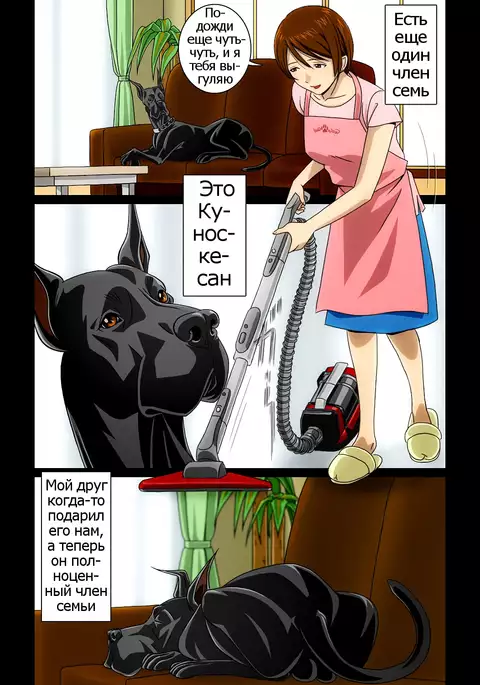 “Wonderful Life” ~Shufu to “Aiken” no Hisoyaka na Gogo~