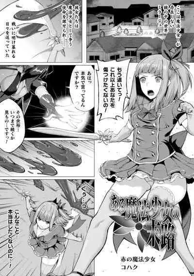 Shittsui no Otome-tachi