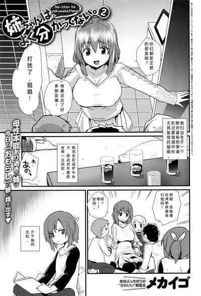 [Mekaigo] Nee-chan wa Yoku Wakattenai. Ch. 1-3 [Chinese]