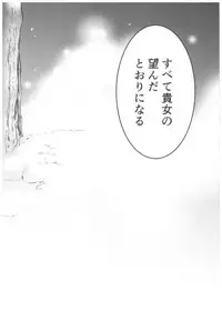 (C93) [Toko-ya (HEIZO, Kitoen)] Saint Foire Festival Richildis Soushuuhen