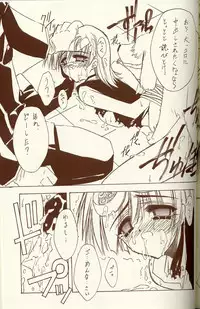 (C62) [BLUE GARNET (Serizawa Katsumi)] BLUE GARNET XIV SKY (SKYGUNNER)