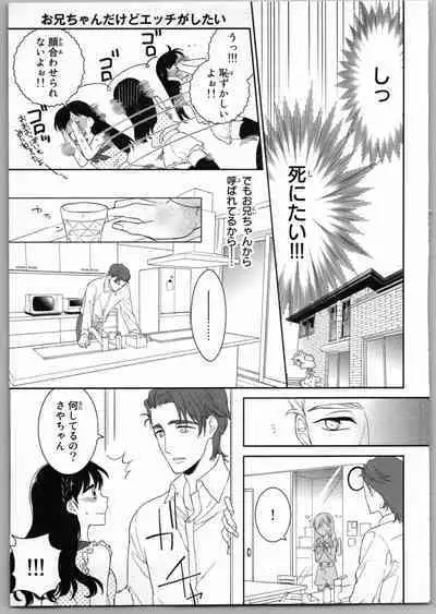 Onii-chan dakedo Ecchi ga Shitai
