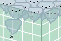 What the PooP [On Going]