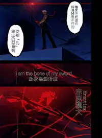 [TYPE-MOON (Takeuchi Takashi)] Fate/stay nigh FAKE Avalon(fate/stay night)t(chinese)