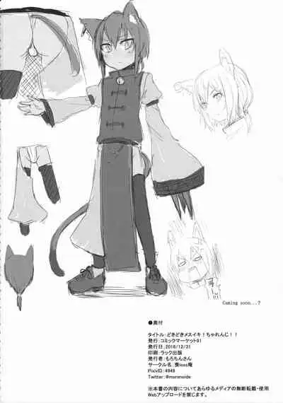 DokiDoki Mesuiki! Challenge!!