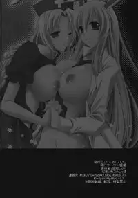 (C75) [Himeya (Abe Inori)] Usagi ga Mita Yume (Touhou Project)