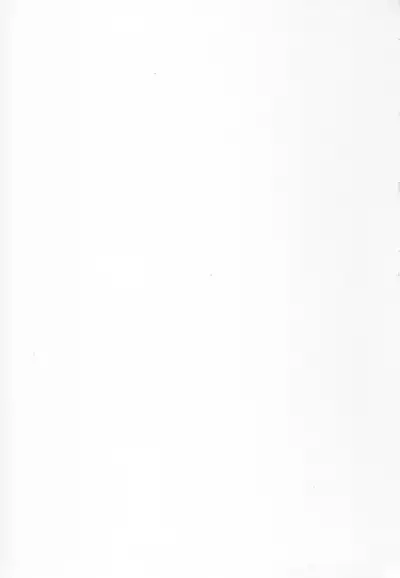 (C97) [Tenkirin (Kanroame)] 