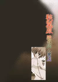 (CT16) [Korisuya (Korisu)] Akihabara Ryoujoku Doujin Shoten
