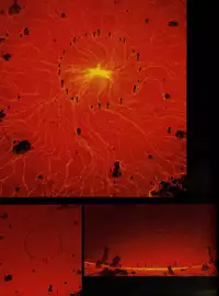 [TYPE-MOON (Takeuchi Takashi)] Fate/stay nigh FAKE Avalon(fate/stay night)t(chinese)