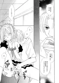 [CALL.A, Flower Crown (Kanou Miki, Yukimura Riko)] Strawberry Parfait (Tokyo Mew Mew)