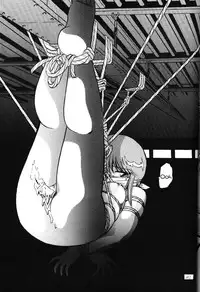 [Thirty Saver Street & Studio Z-Agnam] 2D Shooting (Sailor Moon) [English]