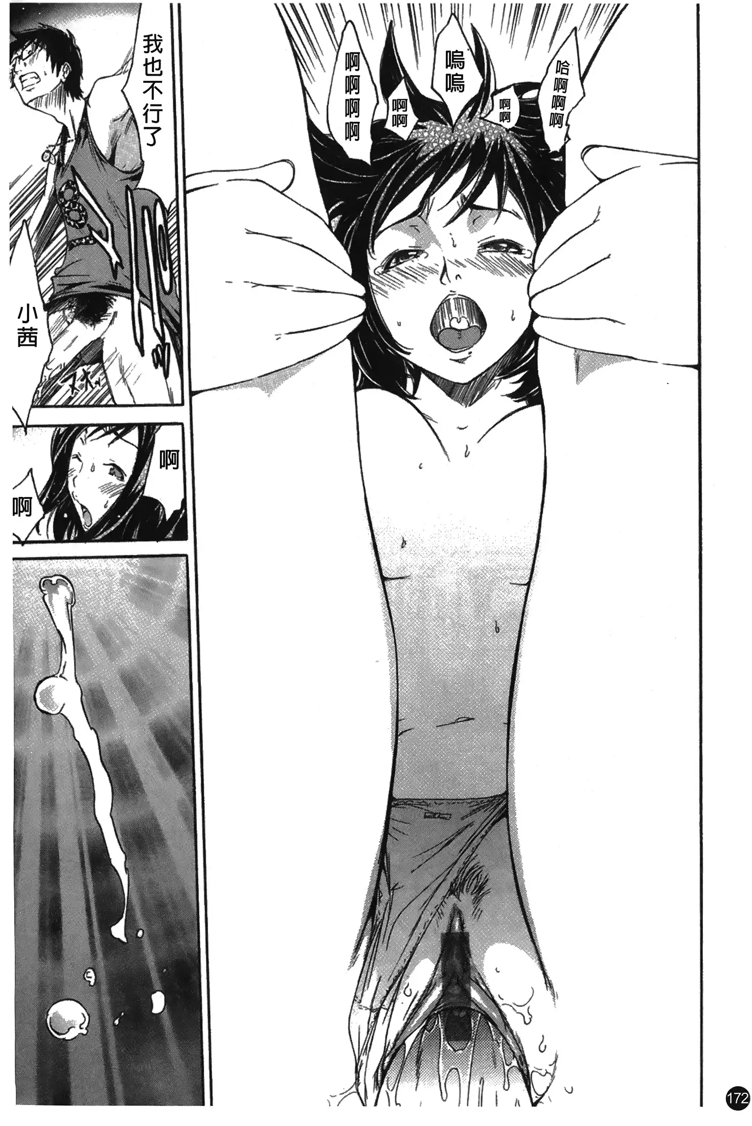 Natsu Nadeshiko | 夏日撫子