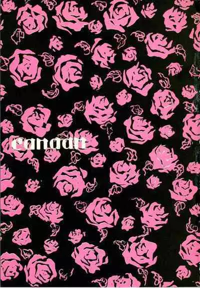 Canaan |迦南宝地