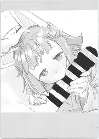 (C95) [Bitimaru (bitibiti)] SummoNigh Ecchi Rakugaki Matomebon (Summon Night)