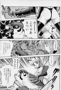 [Kondom] Fairie Fetish