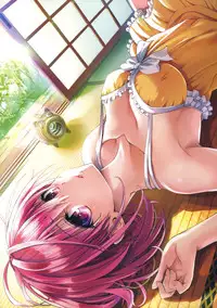 [Yabuki Kentarou] Harem Gold (To Love-ru Darkness)