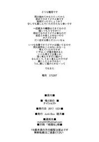 (C93) [Junk Box (Mutsuki)] Ore to Imouto no Naishogoto