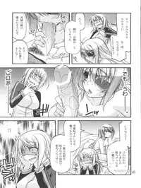 (COMIC1☆5) [CRIMSON GROUND (Miyashiro Sousuke)] Schwarzer Rafale (Infinite Stratos)