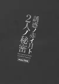 (C93) [Maltese (Runrun)] Yuuwaku no Akaitsuki to Futari no Himitsu (The Legend of Zelda)