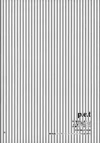 (COMIC1☆7) [99mg (Kokonoe)] p.e.t [Chinese] [刷牙子&月影姬 汉化]