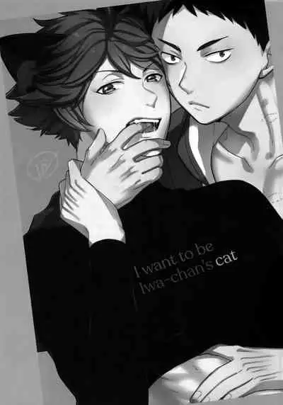 Iwa-chan no Neko ni Naritai 2