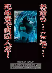 [Studio ParM (Kotobuki Utage)] PM 12 Niku Shuujin (One Piece) [Digital]