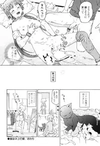 [China] Oneechan to Imouto ha Ore no Yome