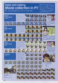 Super Real Mahjong Visual Fan Book Perfect Collection